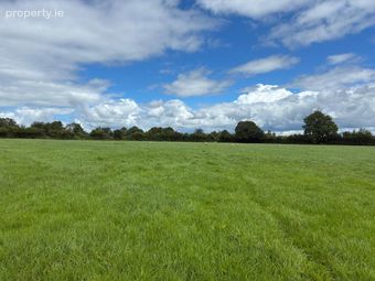 Kilmog, Kilkenny, Kilkenny, Co. Kilkenny - Image 5