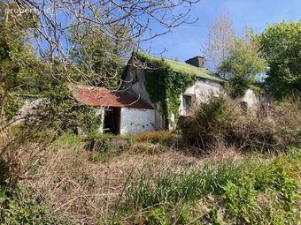 Tylagh Kielduff, Tralee, Co. Kerry - Image 3
