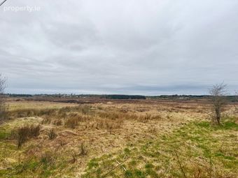 177 Acres Castlerea, Co. Roscommon, Loughglynn, Co. Roscommon