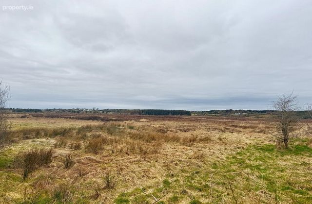 177 Acres Castlerea, Co. Roscommon, Loughglynn, Co. Roscommon - Click to view photos