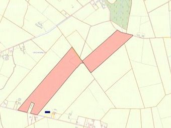 Lands At Lawrencetown, Ballinasloe, Co. Galway, Ballinasloe, Co. Galway - Image 2