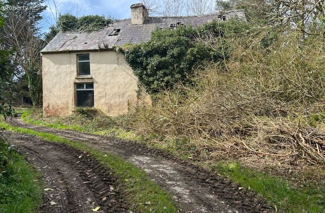Derelict House On C. 1 Acre, Shrone Beg, Rathmore, Co. Kerry - Click to view photos