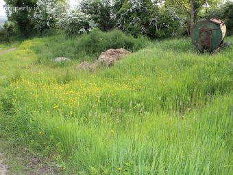 Caherlane, Abbeyfeale, Co. Limerick - Image 5
