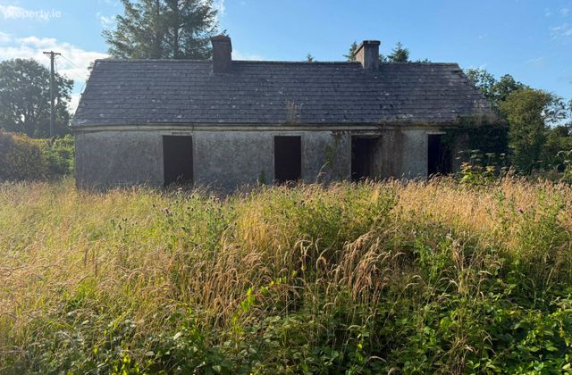 Gortnalea, Dunmore, Co. Galway - Click to view photos