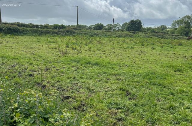 Carriganassa, Killeagh, Co. Cork - Click to view photos