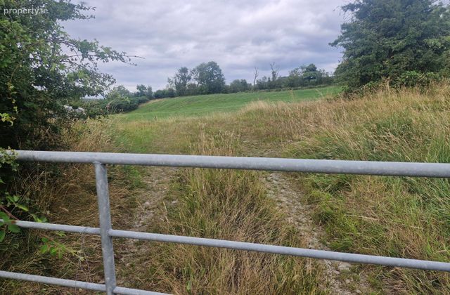Copponagh Lane, Coppanagh, Co. Cavan - Click to view photos