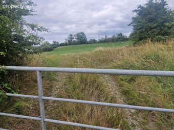 Copponagh Lane, Coppanagh, Co. Cavan