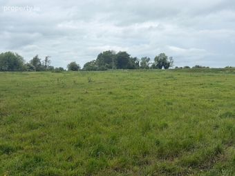 Ollatrim, Toomevara, Nenagh, Co. Tipperary, Sallypark, Co. Tipperary - Image 4