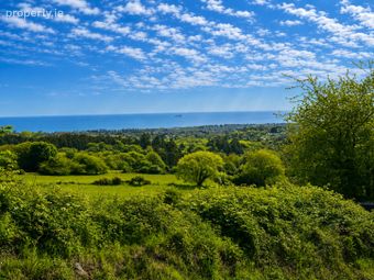 C.2 Acre Of Land At Glen Of The Downs, Delgany, Co. Wicklow - Image 4