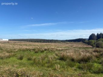 Slievealoughaun, Connolly, Connolly, Co. Clare - Image 3