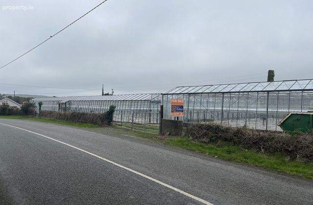 Ralph Hill, Ralph, Fethard-On-Sea, Co. Wexford - Click to view photos