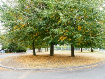23 Montpelier View, Dublin 24, Tallaght, Dublin 24 - Image 3