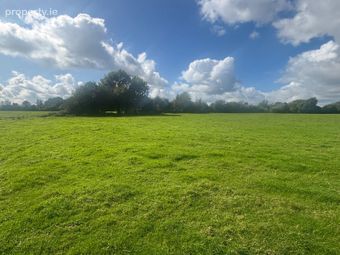 Gaulstown, Drumree, Co. Meath - Image 4