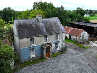 Dingins, Lough Gowna, Co. Cavan - Image 4