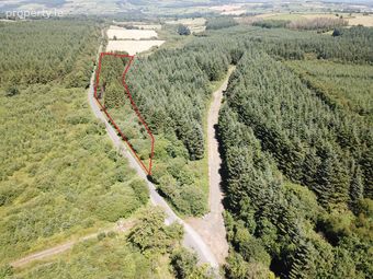 Forestry Land At Smithstown, Mullinavat, Co. Kilkenny, Mullinavat, Co. Kilkenny - Image 2