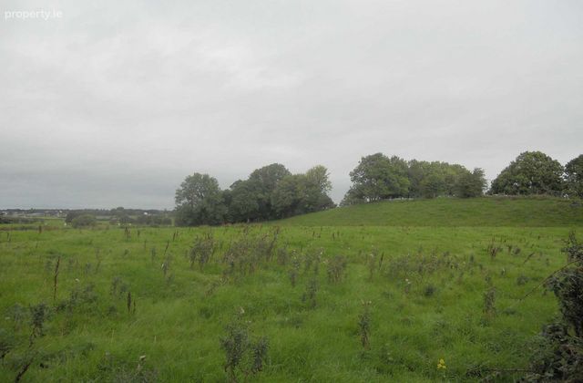 Grange Site, New Inn, Ballinasloe, Co. Galway, Ballinasloe, Co. Galway - Click to view photos