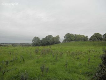 Grange Site, New Inn, Ballinasloe, Co. Galway, Ballinasloe, Co. Galway