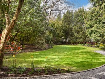 Tudor Lodge, South Hill Avenue, Blackrock, Co.dublin, Blackrock, Co. Dublin - Image 5