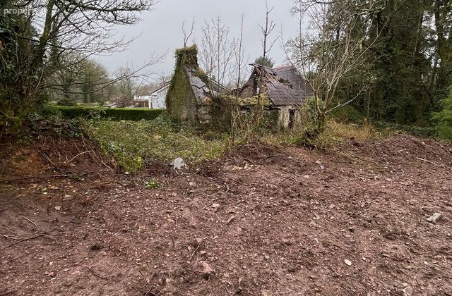 Crinnaloo, Rathcool, Mallow, Co. Cork, Rathcool, Co. Cork - Click to view photos