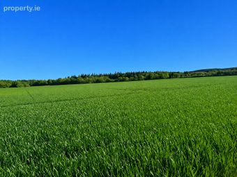 130 Acres, Brackna, Athy, Co. Kildare, Stradbally, Co. Laois - Image 3
