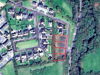 Egmont Woods, Curragh, Kanturk, Co. Cork