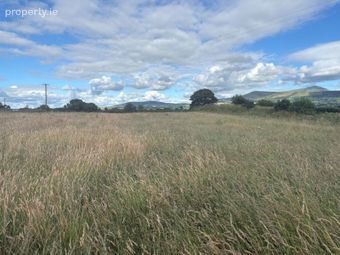 Corries, Bagenalstown, Corries, Co. Carlow - Image 2
