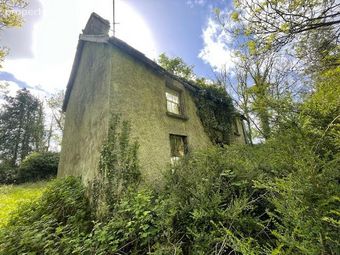 Rushpark, Farragher, Ballymacurley, Co. Roscommon - Image 2