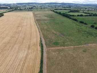 Ridge, Urlingford, Co. Kilkenny - Image 4
