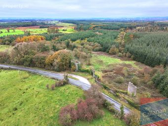 Woodlawn, New Inn, Ballinasloe, Co. Galway - Image 2