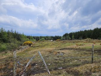 Carrowsallagh, Newport, Co. Mayo