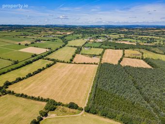Lot 2 - Land At Newtown, Bonnettstown, Co. Kilkenny, Tullaroan, Co. Kilkenny - Image 3