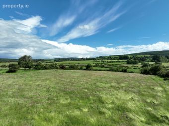 Land C. 33.84 Acres / 13.69 Hectares, Moneystown, Roundwood, Co. Wicklow - Image 5
