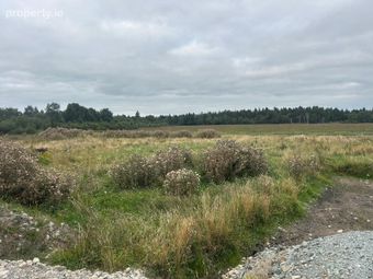 Emo Park, Corrig, Ballybrittas, Co. Laois, Emo, Co. Laois
