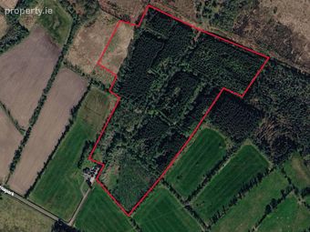 Cornapark, Edgeworthstown, Co. Longford - Image 2