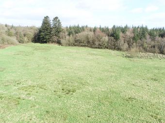 Corravordy, Bandon, Co. Cork - Image 4