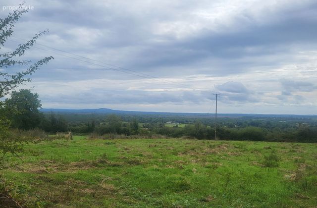 Culleenaghamore, Kilglass, Co. Roscommon, Kilglass, Co. Roscommon - Click to view photos