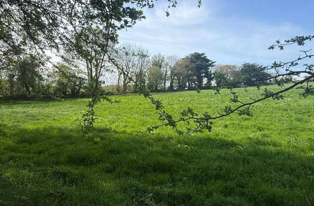 1 Acre Site For Sale At Oldpark, Bandon, Co. Cork - Click to view photos