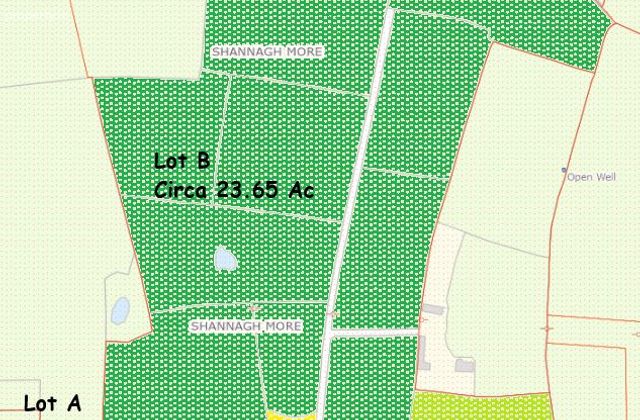 Shannaghamore,dunmore Rd, Glenamaddy, Co. Galway - Click to view photos