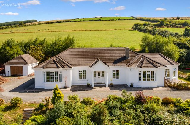 Newtown, Tinahely, Co. Wicklow, Tinahely, Co. Wicklow - Click to view photos