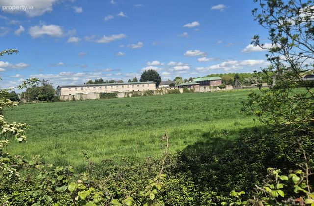 C. 9 Acres Agri Land, Abbey Meadows, Castledermot, Co. Kildare - Click to view photos