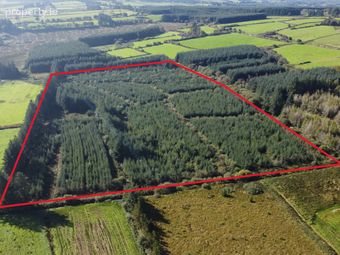 Tureenduve, Ballydesmond, Co. Cork - Image 2