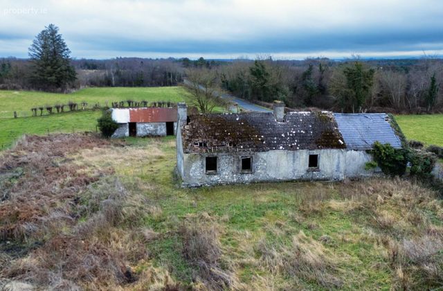 Bogaderries, Birr, Co. Offaly - Click to view photos