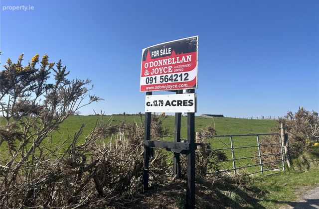 Lakeview, Carrownabo, Moylough, Ballinasloe, Co. Galway, Menlough, Co. Galway - Click to view photos