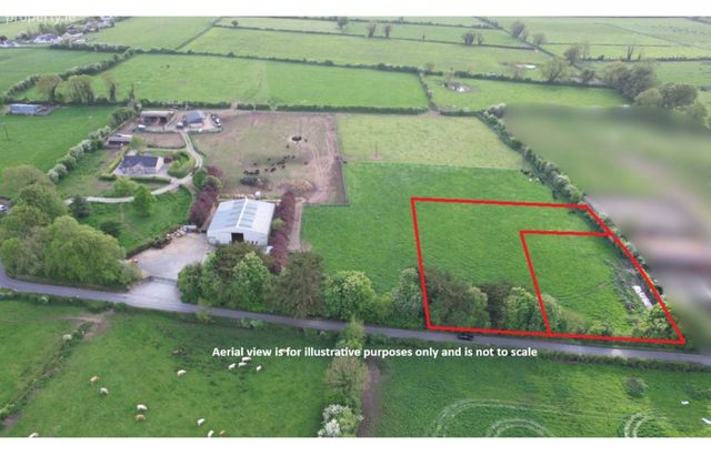 Ballinscaula, Kilmallock, Co. Limerick, Kilmallock, Co. Limerick - Click to view photos