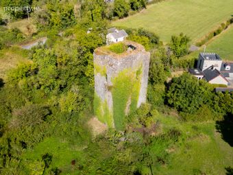 Ballygriffey Castle Ruins On 0.7ha, Folio Ce3481f, Ballygriffey South, Ruan, Co. Clare, Barefield, Co. Clare - Image 3