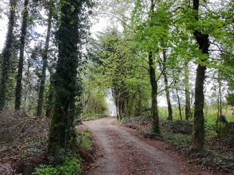 Adoon, Gorvagh, Co. Leitrim - Image 2