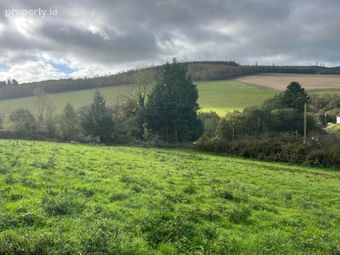 Ballynultagh (1.8 Acre Site), Shillelagh, Co. Wexford, Shillelagh, Co. Wicklow - Image 2