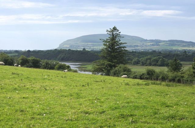 Crockacullion, Beltra, Beltra, Co. Sligo - Click to view photos