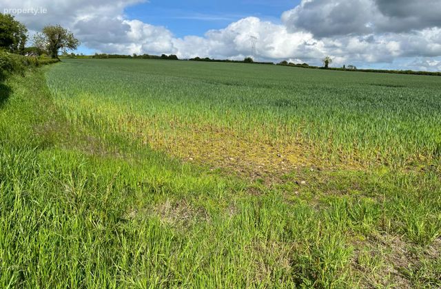 Alexanderaide, Navan, Co. Meath - Click to view photos