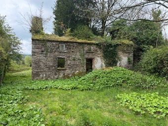 Ballyshane, Inistioge, Co. Kilkenny - Image 2